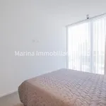 Palms Edition *
