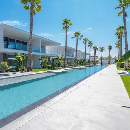 Palms Edition *