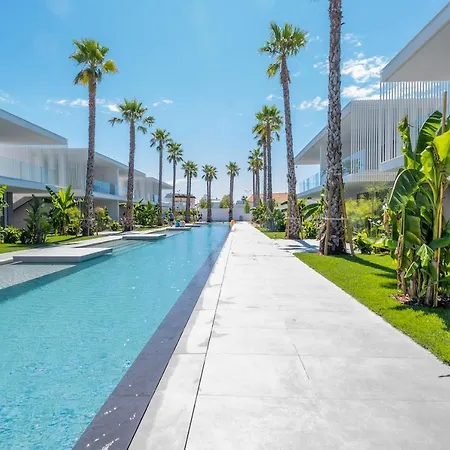 Palms Edition *