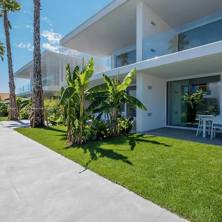 Apartment Palms Edition *