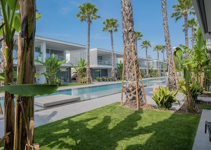 Apartman Palms Edition